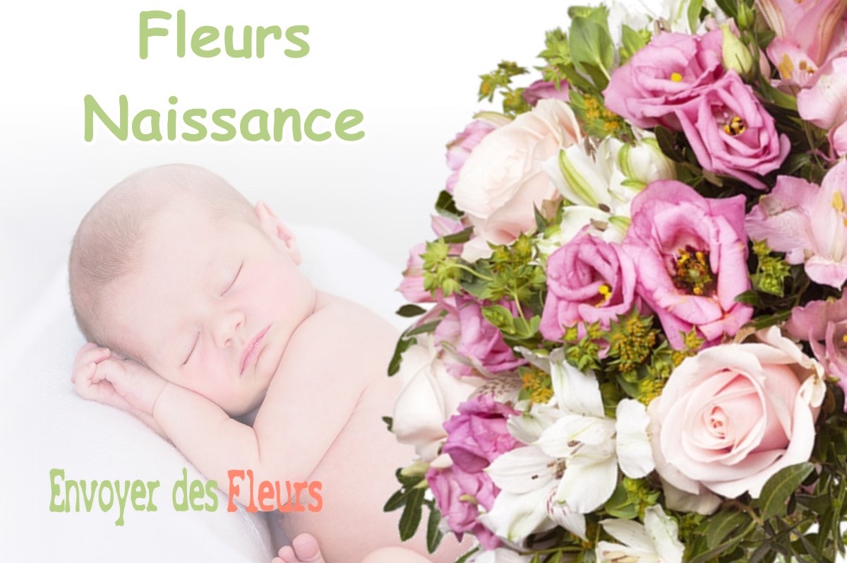 lIVRAISON FLEURS NAISSANCE à MALAKOFF